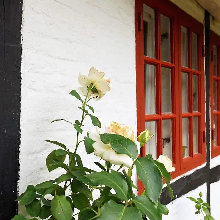 Family Cottage For Eight Guests Bagenkop