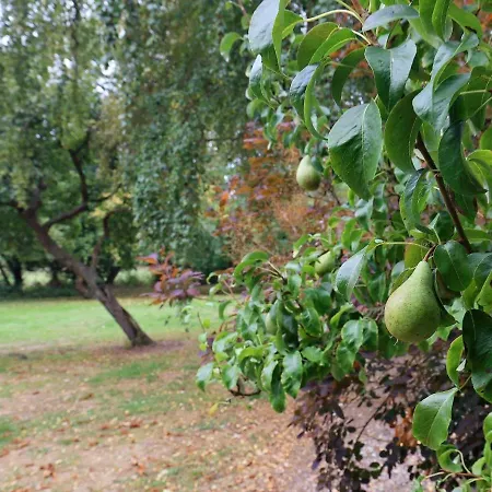 Family For Eight Guests * Bagenkop