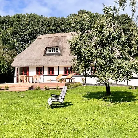 Family For Eight Guests 펜션