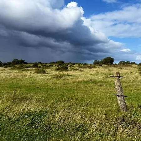 Family For Eight Guests 펜션 Bagenkop