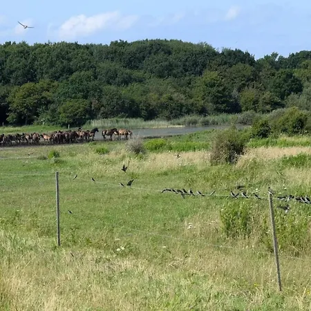 Family For Eight Guests
