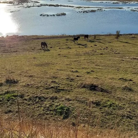 펜션 Family For Eight Guests Bagenkop