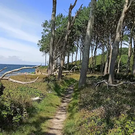 Family For Eight Guests 펜션