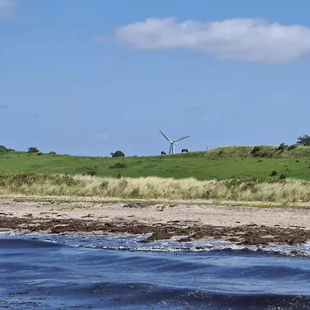 Family For Eight Guests 펜션 Bagenkop