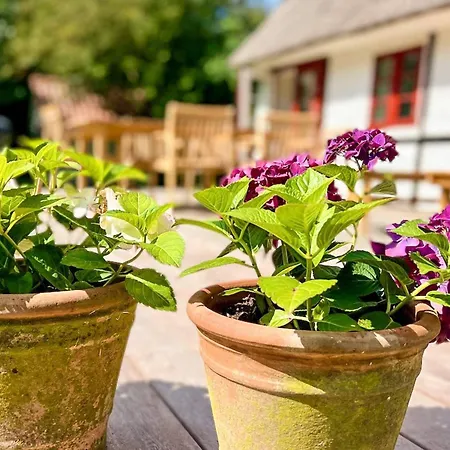 Family For Eight Guests 펜션 Bagenkop